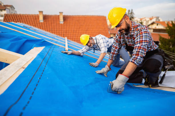 Best Green or Eco-Friendly Roofing Solutions  in Manistee, MI